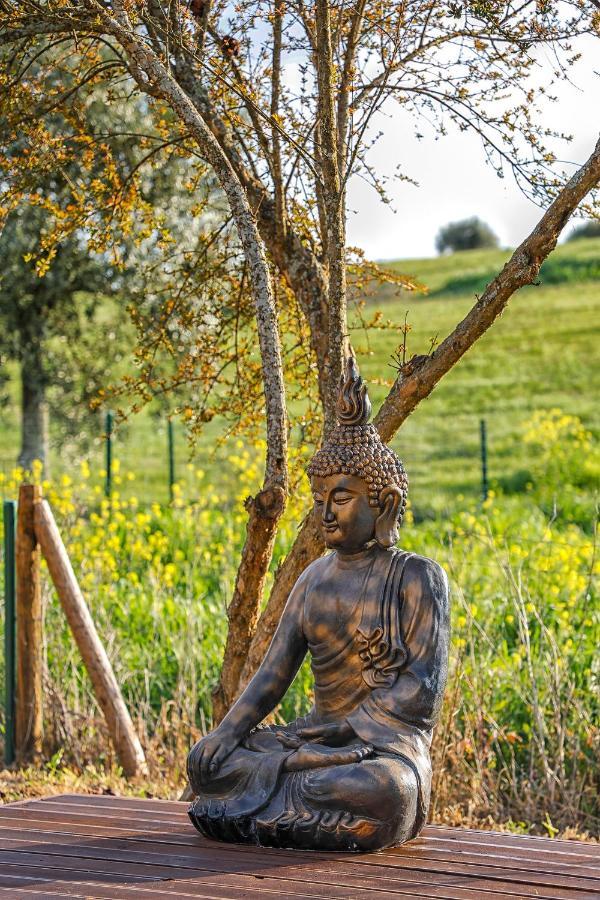 Maison d'hôtes Glamping Turquesa, Feel And Relax In A Wood House à Corredoura Extérieur photo