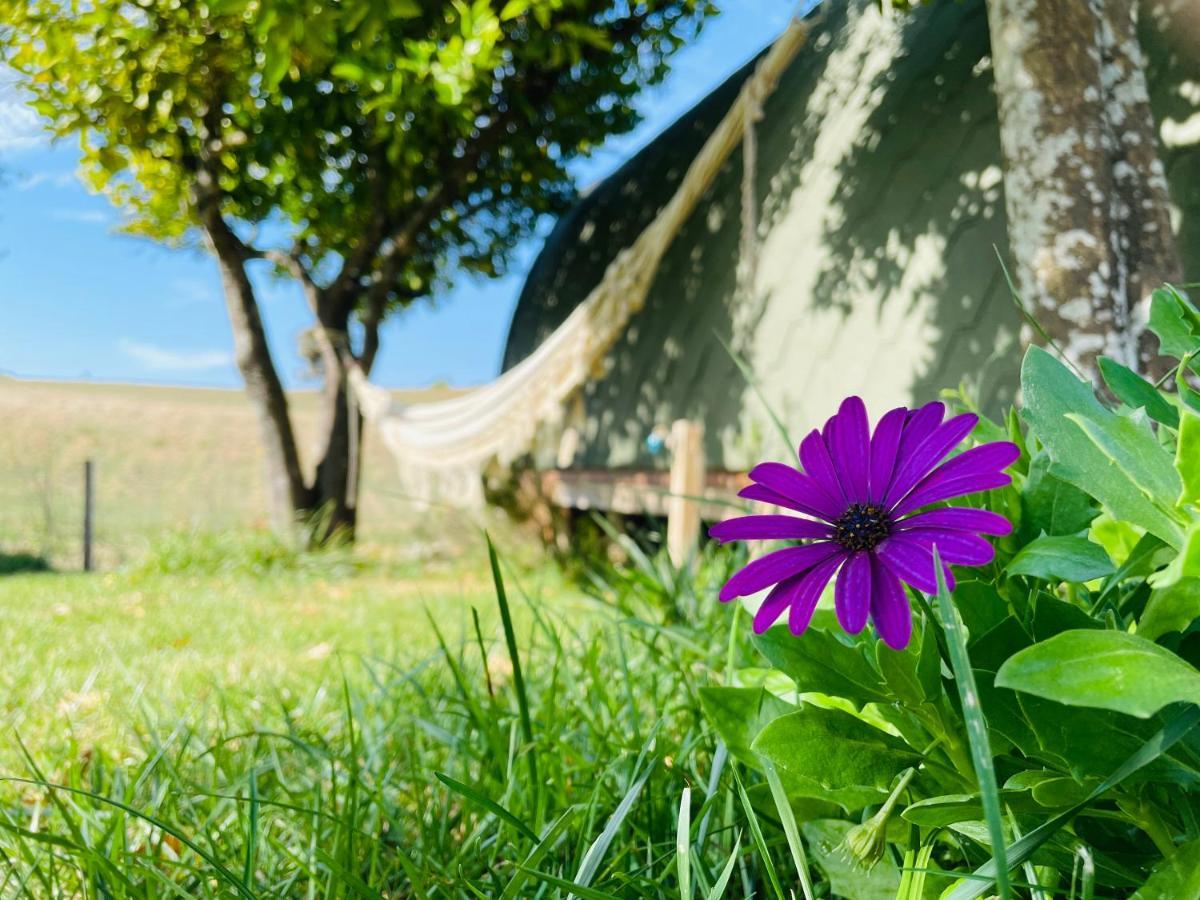 Maison d'hôtes Glamping Turquesa, Feel And Relax In A Wood House à Corredoura Extérieur photo